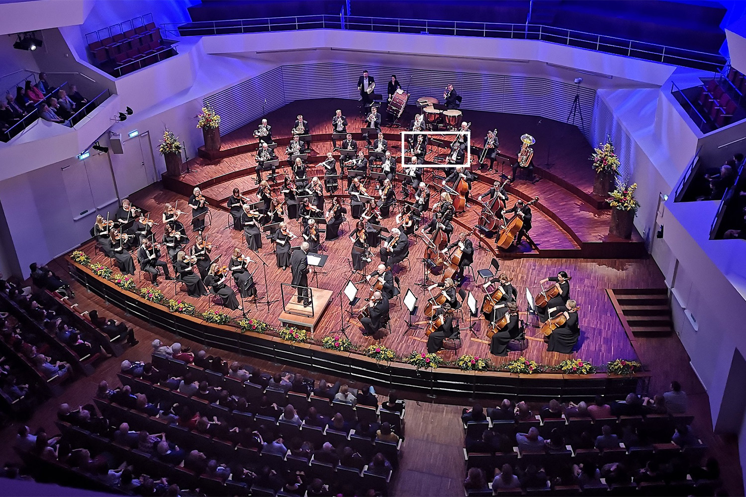 Simfoniskā orķestra bilde ar atzīmētu fagotistu novietojumu
